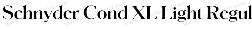 Schnyder Cond XL Light Regular字体转换